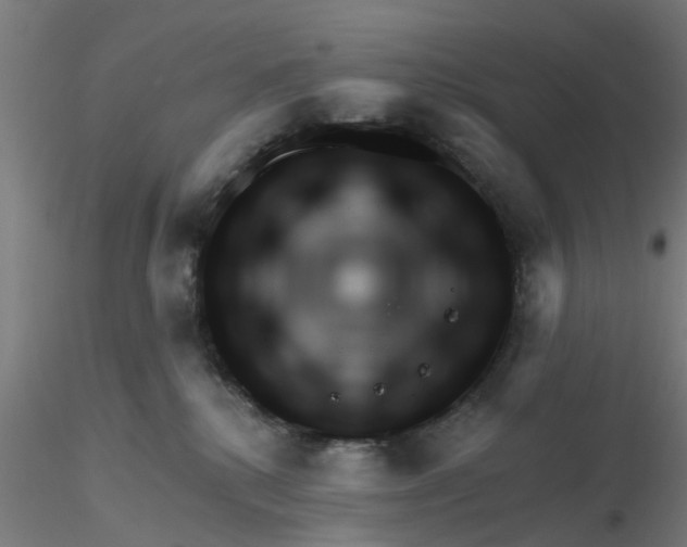 X0000116340280200912221447