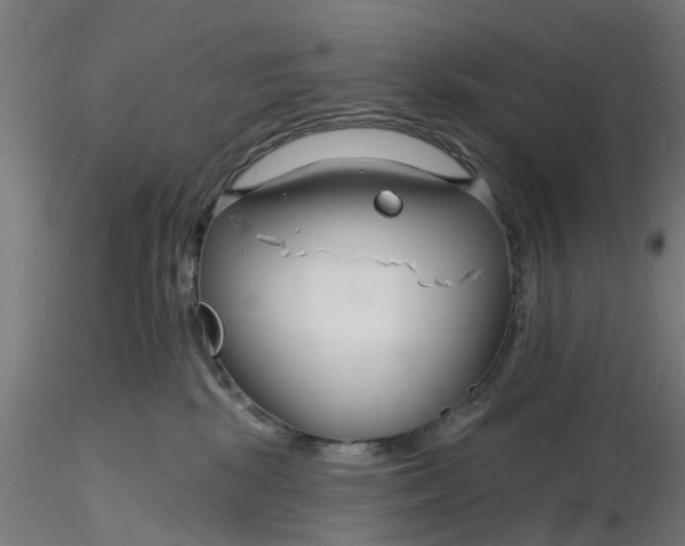 X0000116340281200912221447