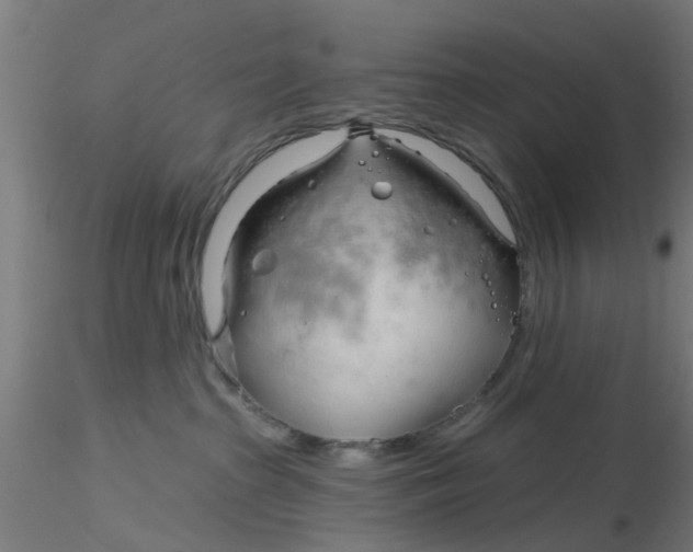 X0000116340285200912221447