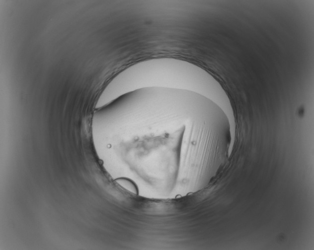 X0000116340286200912221447