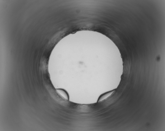 X0000116340287200912221447