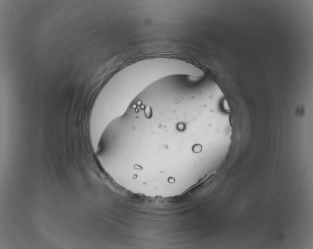 X0000116340288200912221447