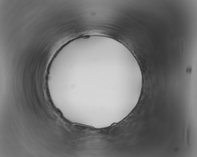 X0000116340289200912221447