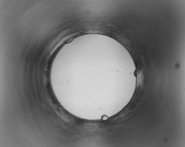 X0000116340291200912221447