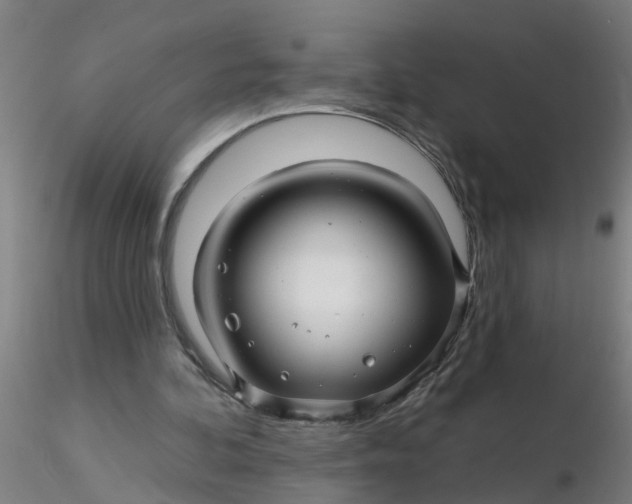 X0000116340292200912221447