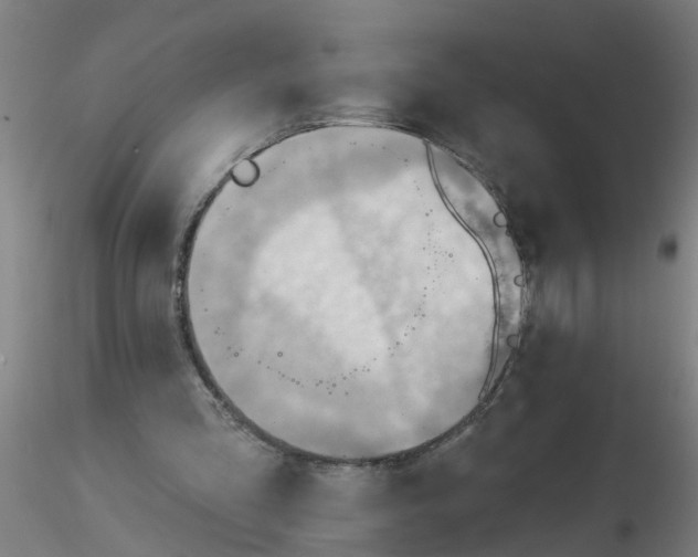 X0000116340293200912221447