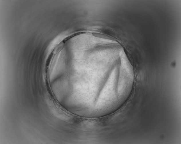 X0000116340294200912221447