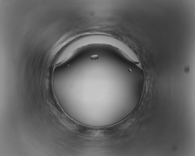 X0000116340295200912221447