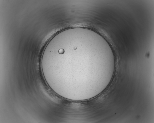 X0000116340298200912221447