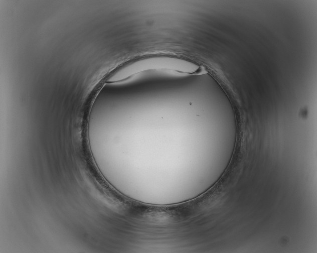 X0000116340299200912221446