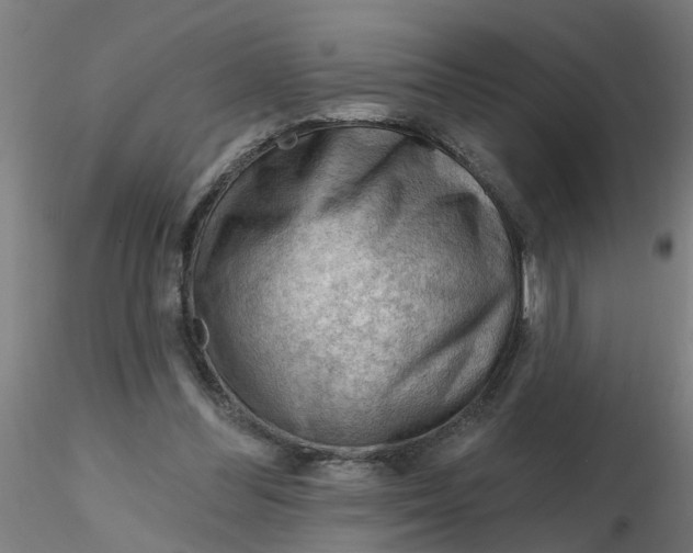 X0000116340300200912221446