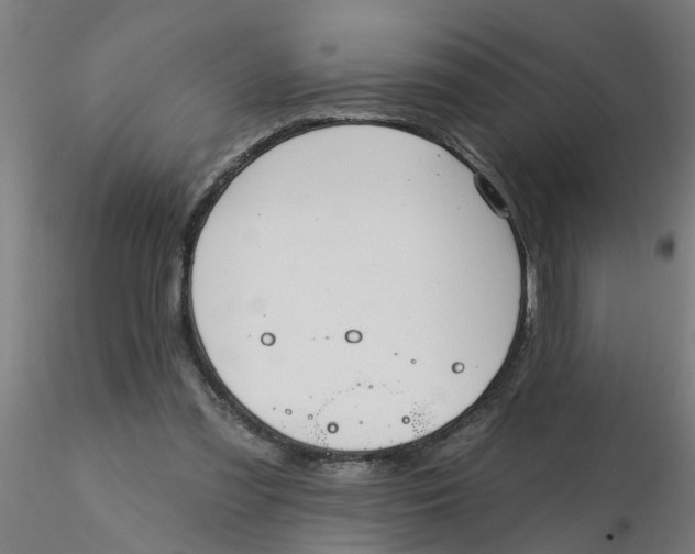 X0000116340301200912221446