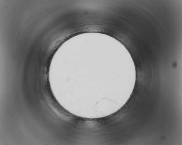 X0000116340302200912221446