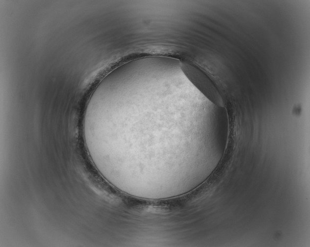 X0000116340303200912221446