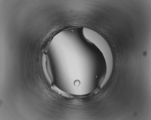 X0000116340308200912221446