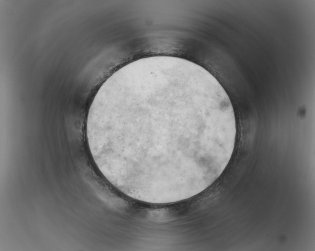 X0000116340309200912221446