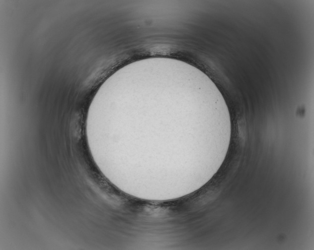 X0000116340311200912221446