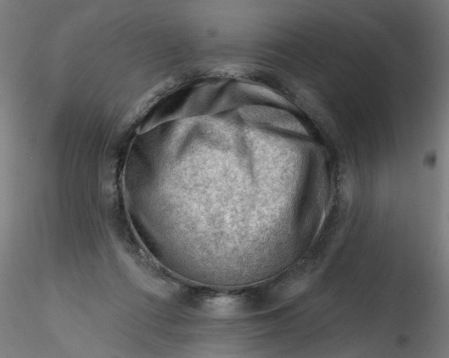 X0000116340312200912221446