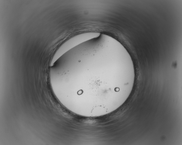 X0000116340313200912221446