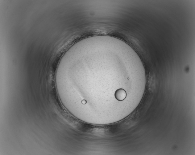 X0000116340314200912221446