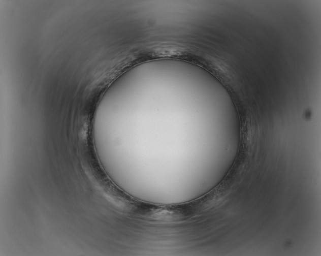 X0000116340315200912221446