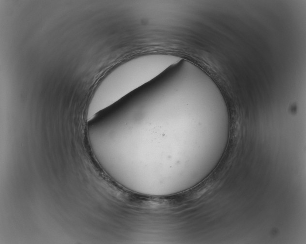 X0000116340317200912221446