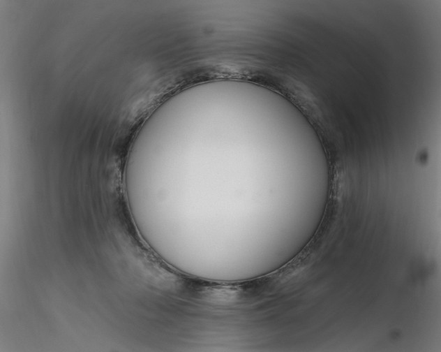 X0000116340318200912221446