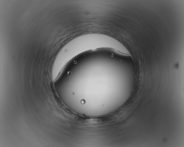 X0000116340320200912221446