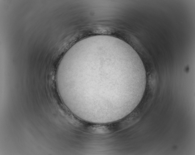 X0000116340322200912221446