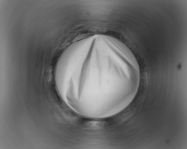 X0000116340323200912221446