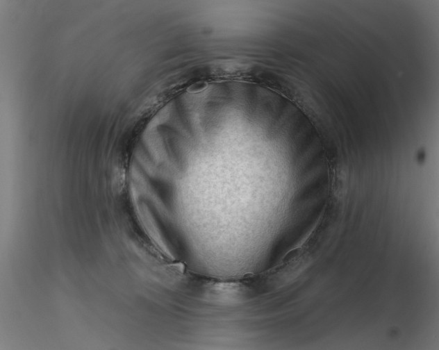 X0000116340324200912221446