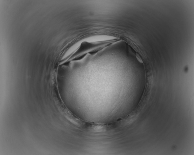 X0000116340325200912221446