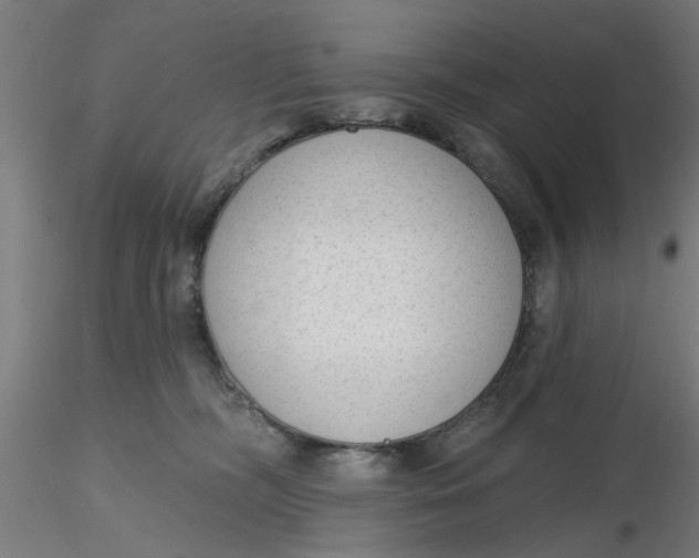 X0000116340326200912221446