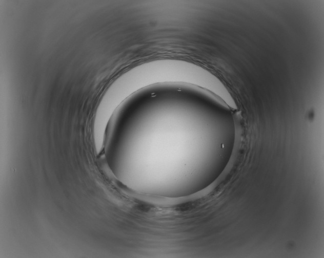 X0000116340327200912221446