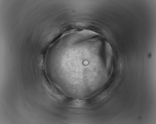 X0000116340328200912221446