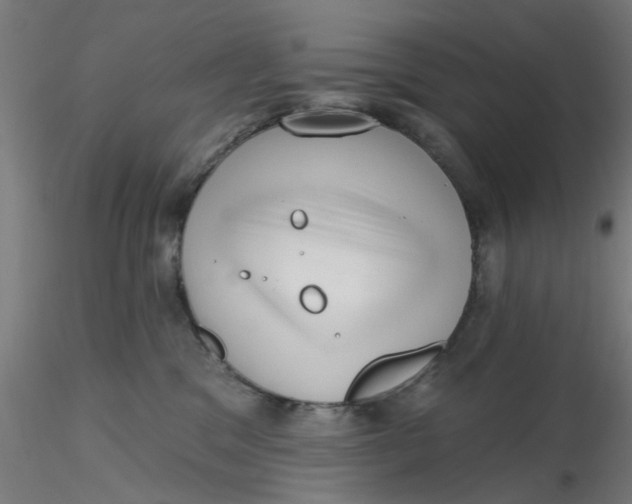 X0000116340329200912221446