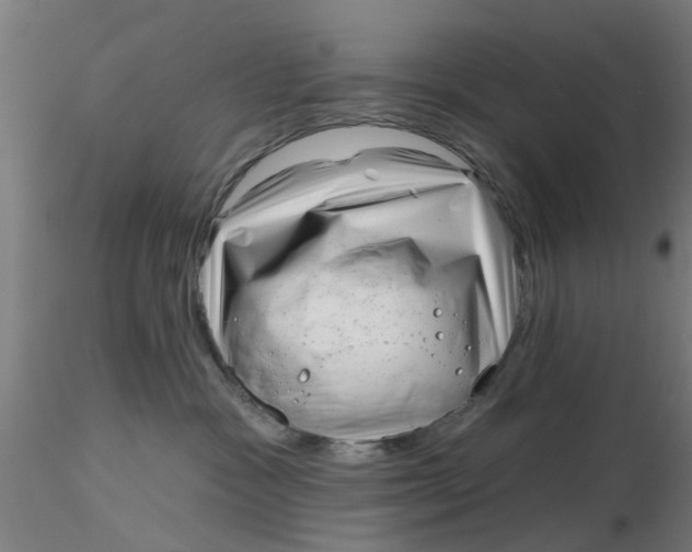 X0000116340333200912221446