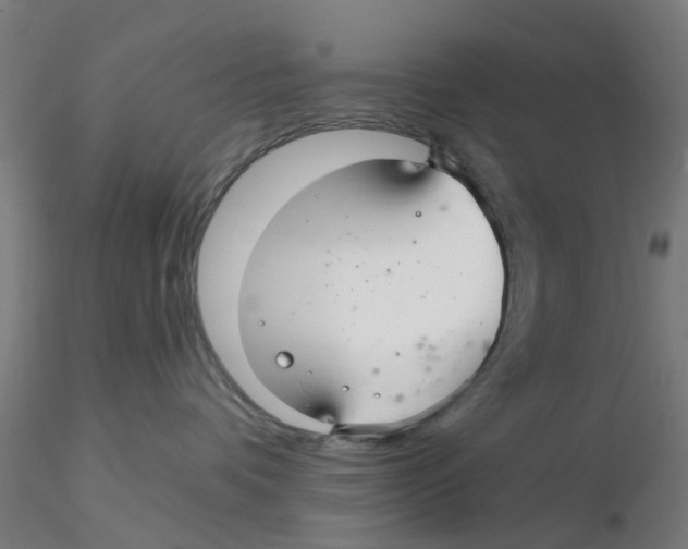 X0000116340336200912221446