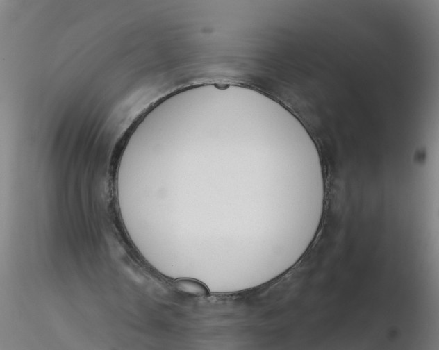 X0000116340338200912221445