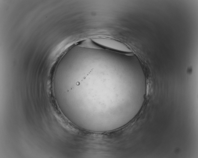 X0000116340339200912221445