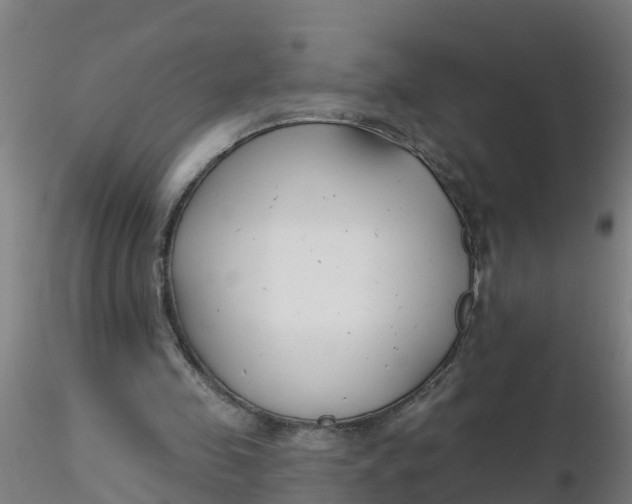 X0000116340341200912221445