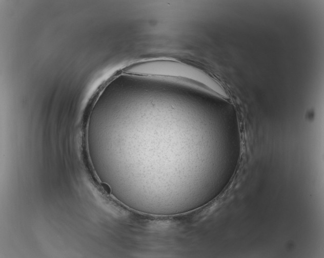 X0000116340342200912221445