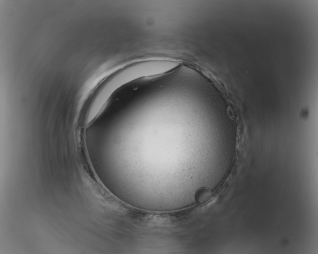 X0000116340343200912221445