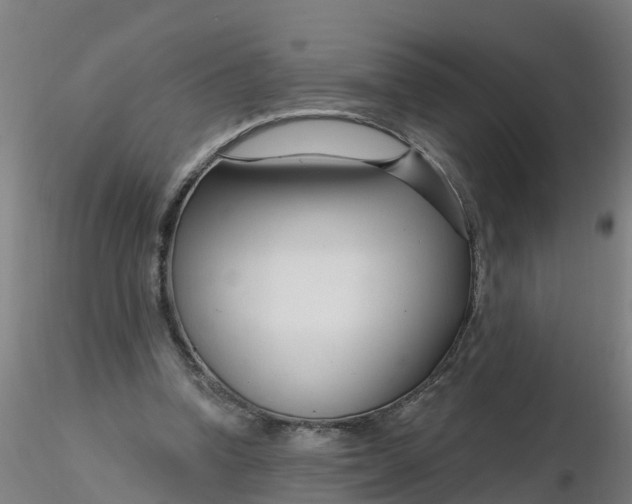 X0000116340346200912221445