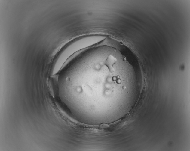 X0000116340347200912221445