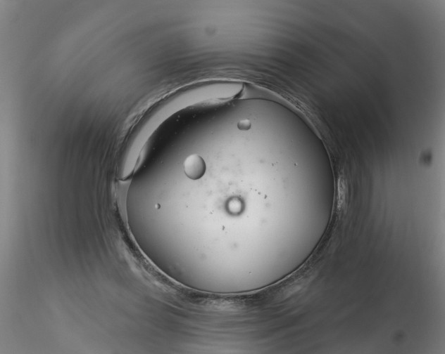 X0000116340349200912221445