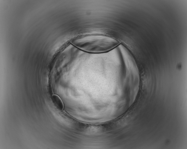 X0000116340350200912221446