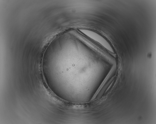 X0000116340353200912221446