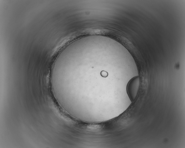 X0000116340357200912221446