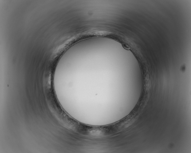 X0000116340358200912221446